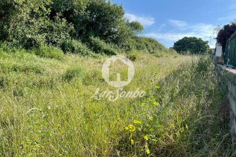 Helårsgrund i Trofa, Porto, Trofa - € 370.000 | Ref: 240-T-24440 - foto 2