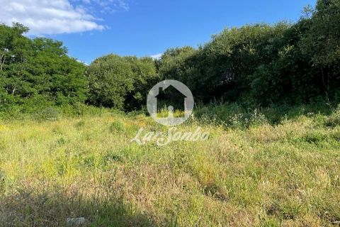 Helårsgrund i Trofa, Porto, Trofa - € 370.000 | Ref: 240-T-24440 - foto 4