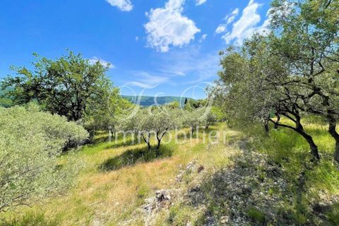 Terra a Apt, Vaucluse, Apt - € 212.000 | Ref: LUB-001098 - foto 19