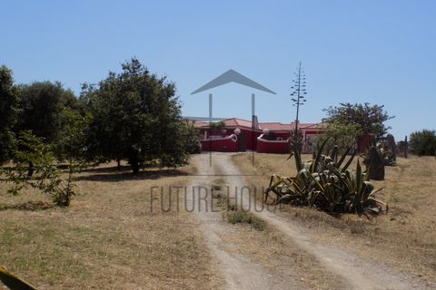 Villa i Bombarral, Leiria, Bombarral - € 570.000 | Ref: MMM-010 - foto 3
