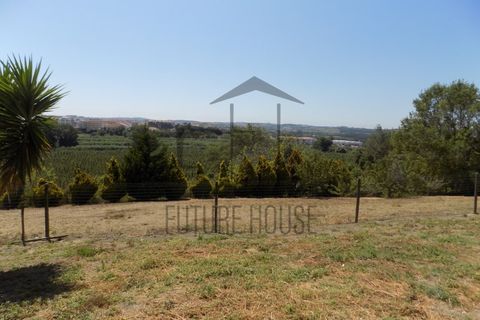 Villa i Bombarral, Leiria, Bombarral - € 570.000 | Ref: MMM-010 - foto 21