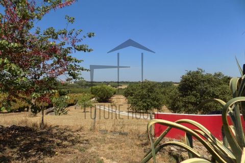 Villa i Bombarral, Leiria, Bombarral - € 570.000 | Ref: MMM-010 - foto 26