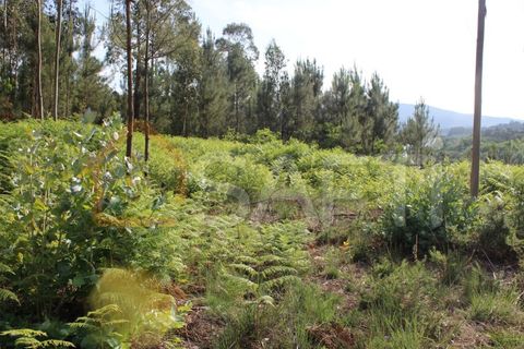 Helårsgrund i Moncao, Viana do Castelo, Moncao - € 55.000 | Ref: SAFTI:003336 - foto 2