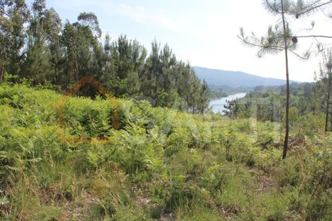 Helårsgrund i Moncao, Viana do Castelo, Moncao - € 55.000 | Ref: SAFTI:003336 - foto 3