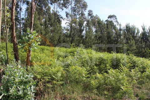 Helårsgrund i Moncao, Viana do Castelo, Moncao - € 55.000 | Ref: SAFTI:003336 - foto 6