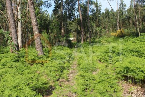 Helårsgrund i Moncao, Viana do Castelo, Moncao - € 55.000 | Ref: SAFTI:003336 - foto 7