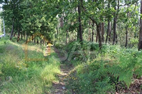 Helårsgrund i Moncao, Viana do Castelo, Moncao - € 535.000 | Ref: SAFTI:003340 - foto 2
