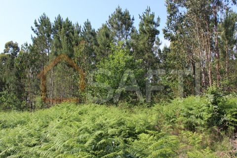 Helårsgrund i Moncao, Viana do Castelo, Moncao - € 535.000 | Ref: SAFTI:003340 - foto 3