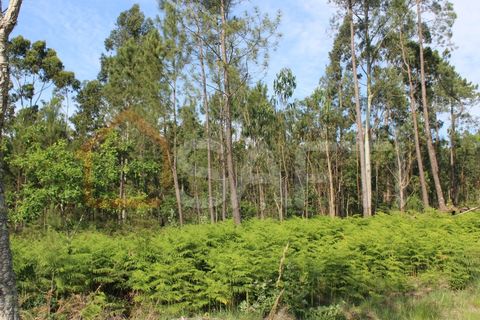 Helårsgrund i Moncao, Viana do Castelo, Moncao - € 535.000 | Ref: SAFTI:003340 - foto 4
