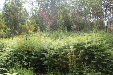 Helårsgrund i Moncao, Viana do Castelo, Moncao - € 45.000 | Ref: SAFTI:003339 - foto 2