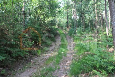 Helårsgrund i Moncao, Viana do Castelo, Moncao - € 45.000 | Ref: SAFTI:003338 - foto 2