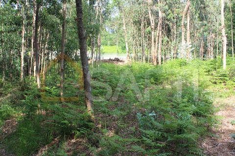 Helårsgrund i Moncao, Viana do Castelo, Moncao - € 45.000 | Ref: SAFTI:003338 - foto 3