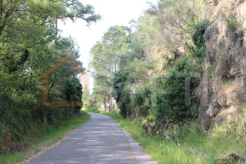 Helårsgrund i Moncao, Viana do Castelo, Moncao - € 45.000 | Ref: SAFTI:003338 - foto 10
