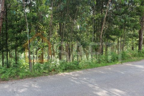 Helårsgrund i Moncao, Viana do Castelo, Moncao - € 70.000 | Ref: SAFTI:003337 - foto 2