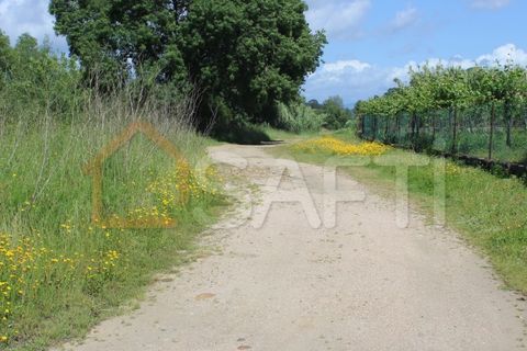 Helårsgrund i Moncao, Viana do Castelo, Moncao - € 77.000 | Ref: SAFTI:003311 - foto 6