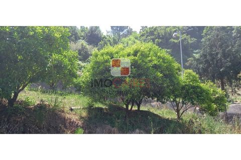 Helårsgrund i Machico, Madeira, Machico - € 200.000 | Ref: 4477/2023 - foto 2