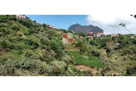 Helårsgrund i Machico, Madeira, Machico - € 200.000 | Ref: 4477/2023 - foto 4