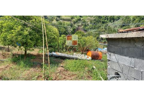 Helårsgrund i Machico, Madeira, Machico - € 200.000 | Ref: 4477/2023 - foto 6