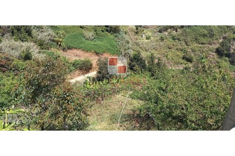 Helårsgrund i Machico, Madeira, Machico - € 200.000 | Ref: 4477/2023 - foto 7