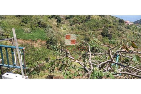 Helårsgrund i Machico, Madeira, Machico - € 200.000 | Ref: 4477/2023 - foto 8