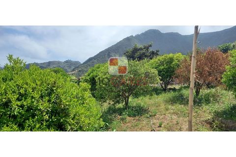 Helårsgrund i Machico, Madeira, Machico - € 200.000 | Ref: 4477/2023 - foto 9