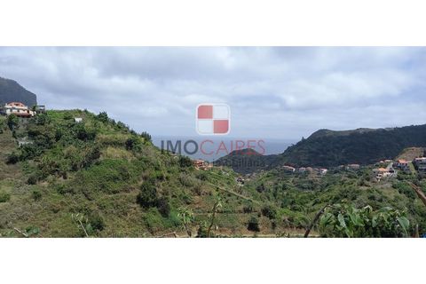 Helårsgrund i Machico, Madeira, Machico - € 200.000 | Ref: 4477/2023 - foto 10