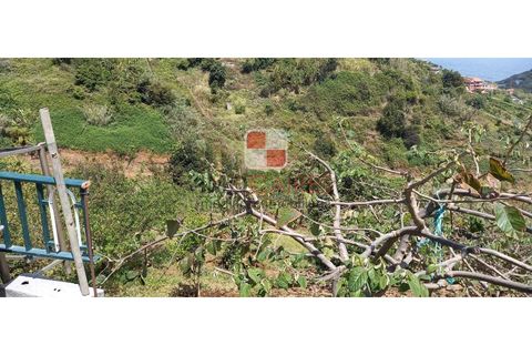 Helårsgrund i Machico, Madeira, Machico - € 200.000 | Ref: 4477/2023 - foto 11