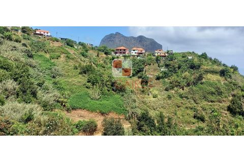 Helårsgrund i Machico, Madeira, Machico - € 200.000 | Ref: 4477/2023 - foto 13
