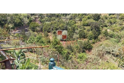 Helårsgrund i Machico, Madeira, Machico - € 200.000 | Ref: 4477/2023 - foto 14