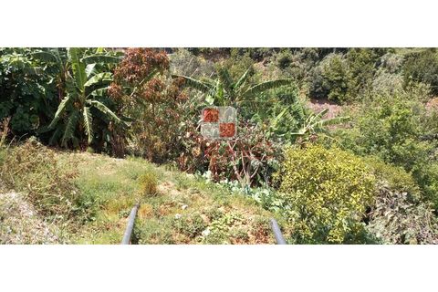 Helårsgrund i Machico, Madeira, Machico - € 200.000 | Ref: 4477/2023 - foto 15
