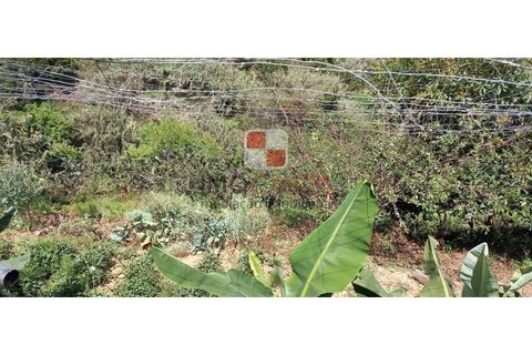 Helårsgrund i Machico, Madeira, Machico - € 200.000 | Ref: 4477/2023 - foto 16