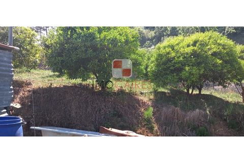 Helårsgrund i Machico, Madeira, Machico - € 200.000 | Ref: 4477/2023 - foto 18