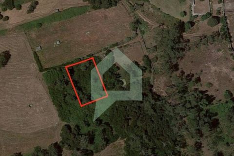 Terra a Esposende, Braga, Esposende - € 25.000 | Ref: TER_3151 - foto 2
