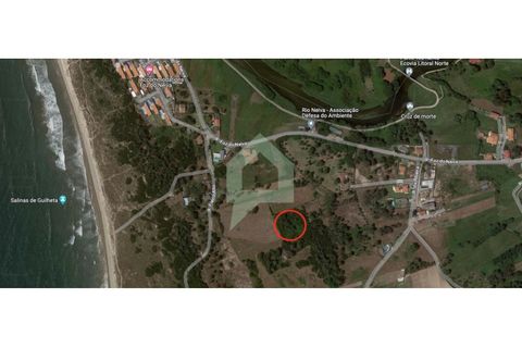 Terra a Esposende, Braga, Esposende - € 25.000 | Ref: TER_3151 - foto 3