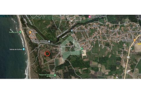 Terra a Esposende, Braga, Esposende - € 25.000 | Ref: TER_3151 - foto 4
