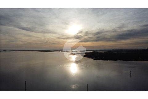 Villa a Moncarapacho, Faro, Moncarapacho - € 680.000 | Ref: 360P-1290_A - foto 44