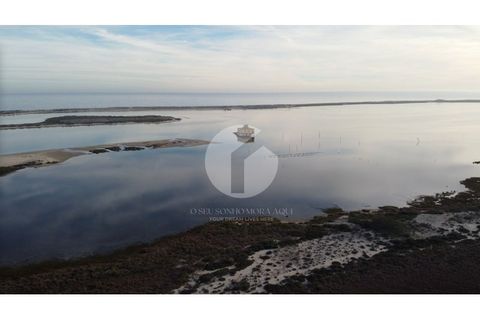 Villa a Moncarapacho, Faro, Moncarapacho - € 680.000 | Ref: 360P-1290_A - foto 45