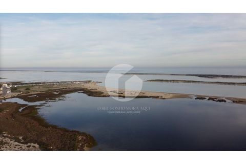 Villa a Moncarapacho, Faro, Moncarapacho - € 680.000 | Ref: 360P-1290_A - foto 46