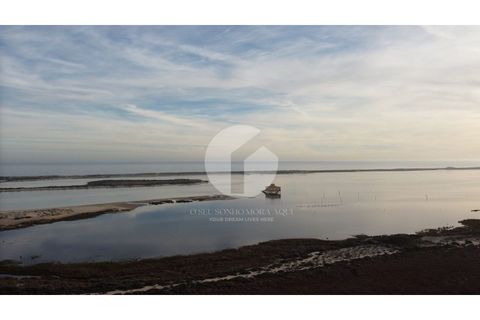 Villa a Moncarapacho, Faro, Moncarapacho - € 680.000 | Ref: 360P-1290_A - foto 48