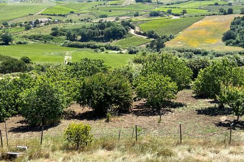 Farm i Alenquer, Lisbon, Alenquer - € 570.000 | Ref: QUI_1247 - foto 10