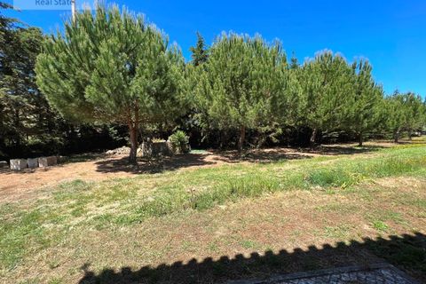 Farm i Alenquer, Lisbon, Alenquer - € 570.000 | Ref: QUI_1247 - foto 31