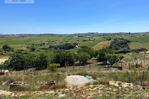 Farm i Alenquer, Lisbon, Alenquer - € 570.000 | Ref: QUI_1247 - foto 40