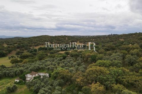 Landejendom i Borba, Evora, Borba - € 2.000.000 | Ref: 809-3 - foto 4