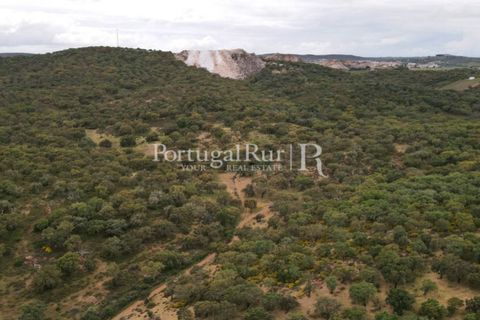 Landejendom i Borba, Evora, Borba - € 2.000.000 | Ref: 809-3 - foto 5
