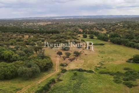 Landejendom i Borba, Evora, Borba - € 2.000.000 | Ref: 809-3 - foto 6