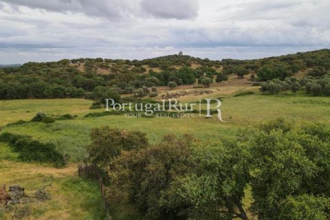 Landejendom i Borba, Evora, Borba - € 2.000.000 | Ref: 809-3 - foto 8