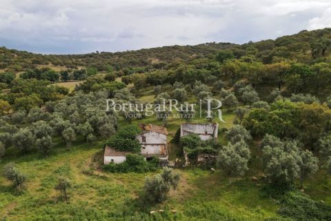 Landejendom i Borba, Evora, Borba - € 2.000.000 | Ref: 809-3 - foto 9