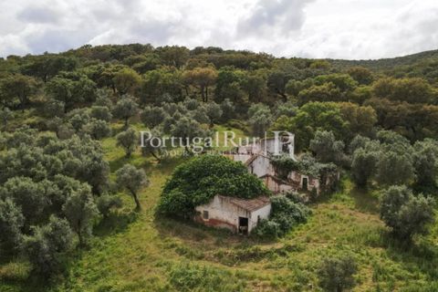 Landejendom i Borba, Evora, Borba - € 2.000.000 | Ref: 809-3 - foto 2