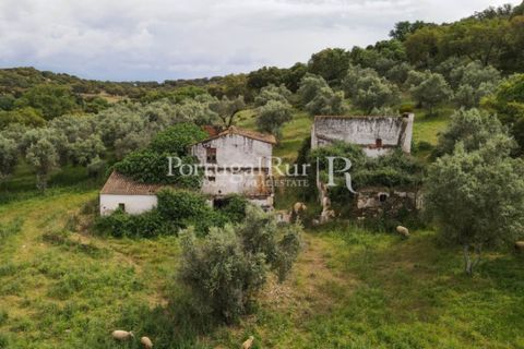 Landejendom i Borba, Evora, Borba - € 2.000.000 | Ref: 809-3 - foto 10