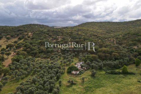 Landejendom i Borba, Evora, Borba - € 2.000.000 | Ref: 809-3 - foto 12